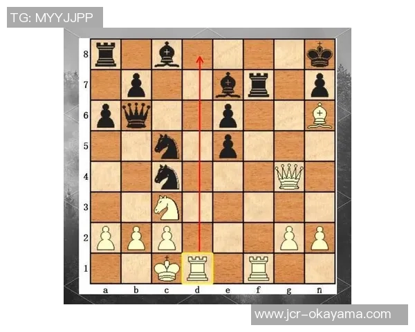 武汉羽毛球队独特节奏打法深度解析与战术优势探讨 武汉羽毛球队独特节奏打法深度解析与战术优势探讨