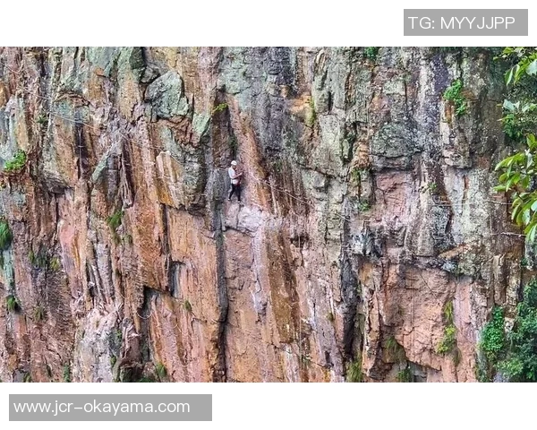 上海极限运动队在攀岩联赛中以80分稳居积分榜首位