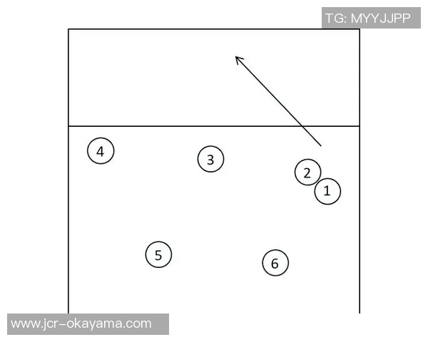 南京排球队进攻策略深度解析与战术创新探讨